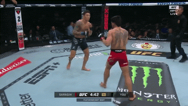 17503289922294.gif