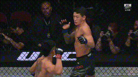 17503289939709.gif