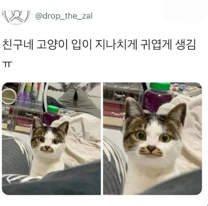 17503291696559.jpg