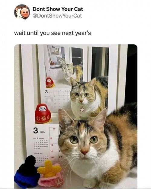 1751445045961.jpg