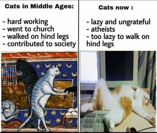 17514453530284.jpg