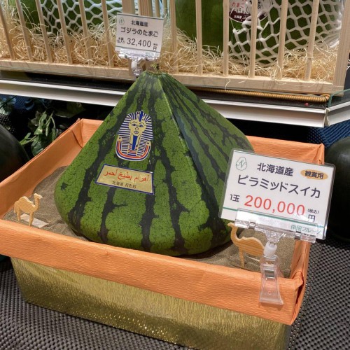 17514454679198.jpg