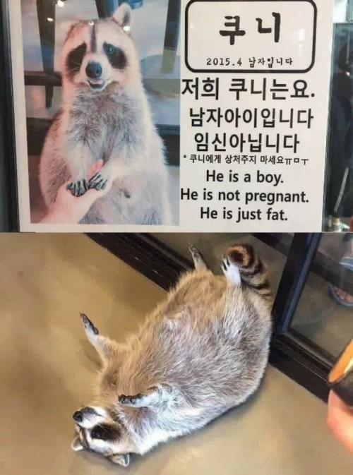 17514458347762.jpg