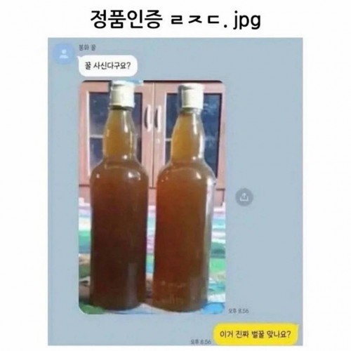 17514459443645.jpg