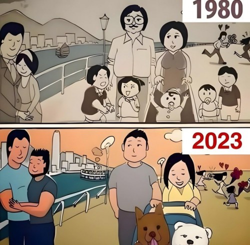 17514460295755.jpg