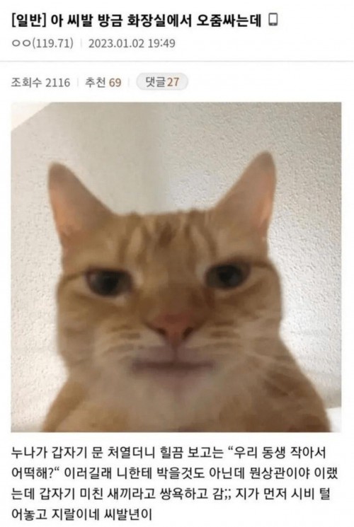 17514477060431.jpg