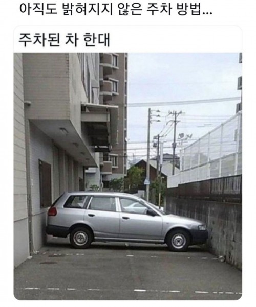17514481964588.jpg
